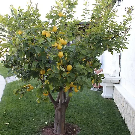 Acasamia Con Parcheggio Privato Bed & Breakfast Barletta